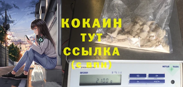 крисы Алексин