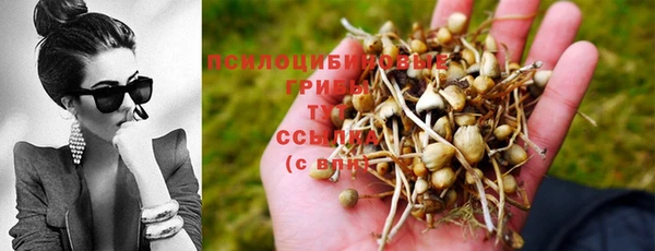 крисы Алексин